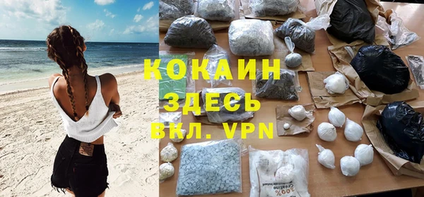 мяу мяу мука Белокуриха
