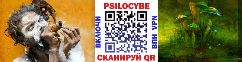 магазин наркотиков Юрюзань Псилоцибиновые грибы GOLDEN TEACHER